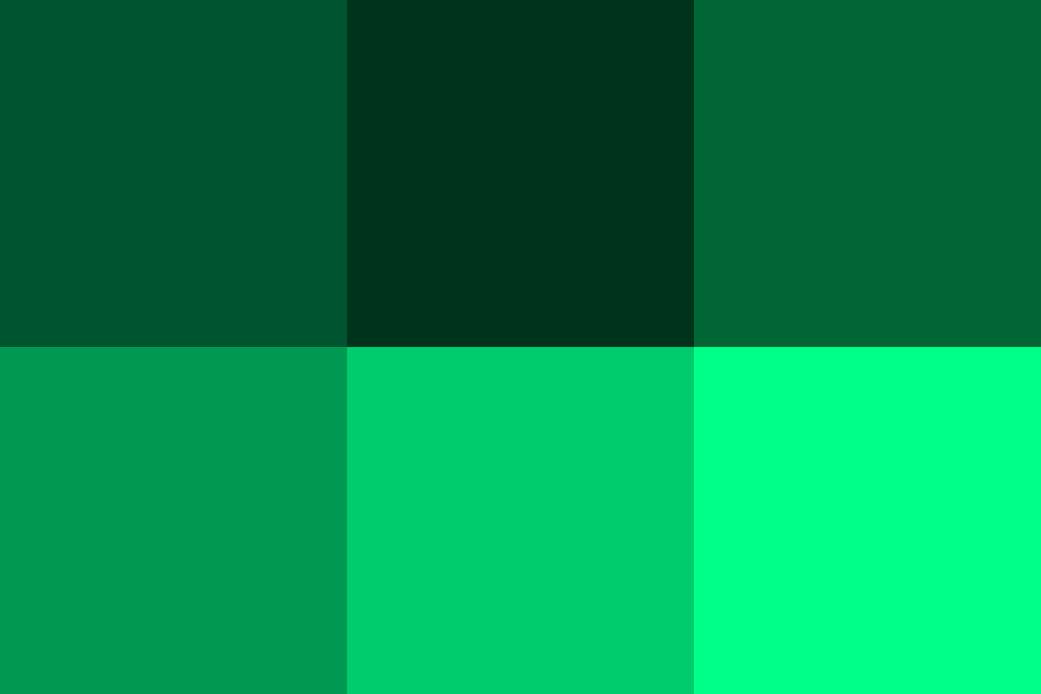 深緑の配色パターン 色の組み合わせ 原色大辞典