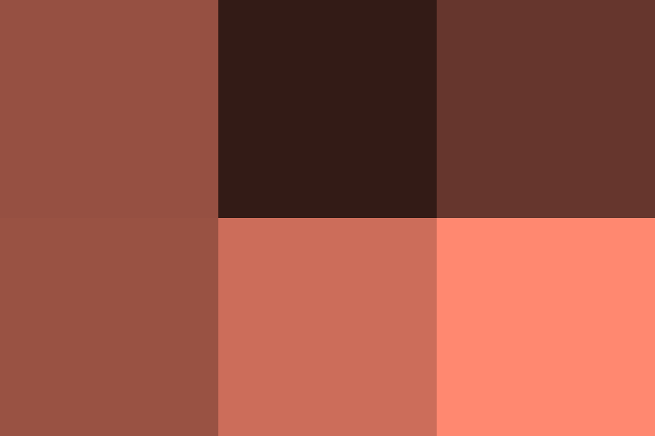 茶色の配色パターン 色の組み合わせ 原色大辞典