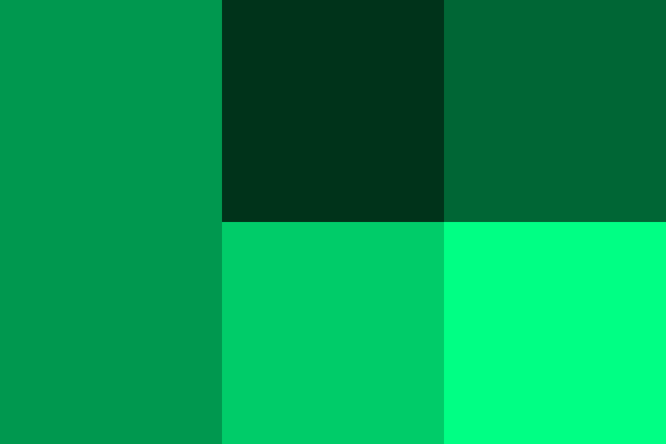 エバーグリーンの配色パターン 色の組み合わせ 原色大辞典