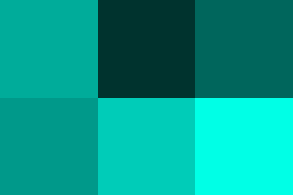 ペパーミントグリーンの配色パターン 色の組み合わせ 原色大辞典