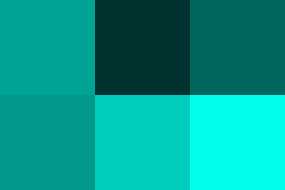 ピーコックグリーンの配色パターン 色の組み合わせ 原色大辞典