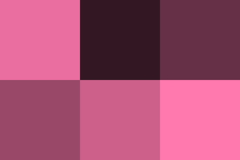チェリーピンクの配色パターン 色の組み合わせ 原色大辞典