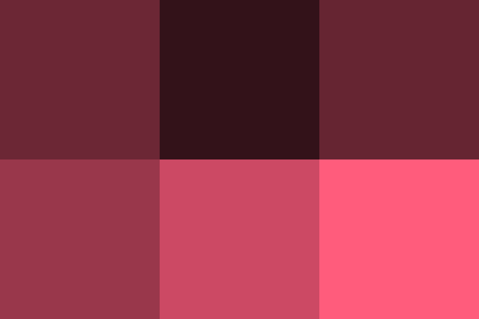 バーガンディーの配色パターン 色の組み合わせ 原色大辞典