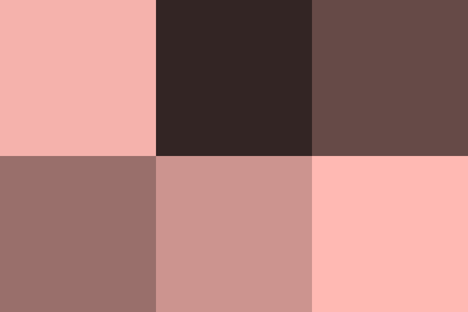 フラミンゴピンクの配色パターン 色の組み合わせ 原色大辞典